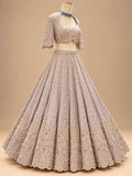 Champagne Grey Embroidered Lehenga Set with Brown Dupatta for Women