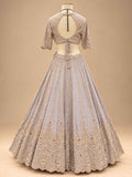 Champagne Grey & Brown embroidered lehenga set – view 3
