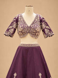Deep Purple Embroidered Lehenga Set with Draped Dupatta for Women