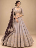 Champagne Grey Embroidered Lehenga Set with Brown Dupatta for Women