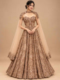 Full product presentation of Champagne Gold Embroidered with Dupatta