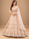 Brown Multicolour Embroidered Lehenga Set with Dupatta | Women's Wedding Wear