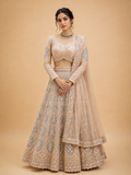 Pink Embroidered Lehenga Set with Blouse & Dupatta | Wedding & Festive Wear