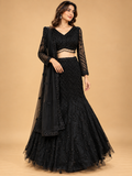 Black Embellished Lehenga Choli with Sheer Dupatta | Designer Wedding Wear