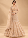 Gold Embellished Lehenga Choli with Sheer Dupatta | Designer Wedding Wear