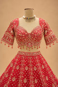 Premium Bridal Red Lehenga with Heavy Gold Embroidery and Designer Dupatta for Women – product view 4