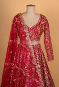 Bridal Red Heavy Embroidered Lehenga Choli with Net Dupatta
