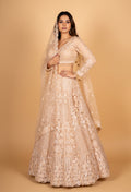 Champagne Gold Embroidered Bridal Lehenga Choli with Sheer Dupatta