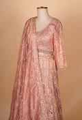 Blush Pink Heavy Embroidered Designer Lehenga Choli with Sequin Net Dupatta