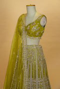 Olive Green Designer Embroidered Lehenga Choli with Net Dupatta