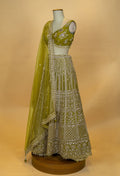 Olive Green Designer Embroidered Lehenga Choli with Net Dupatta