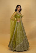 Olive Green Designer Embroidered Lehenga Choli with Net Dupatta