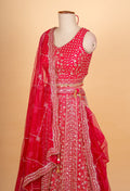 Red Bridal Lehenga Choli for Women with Heavy Embroidery & Net Dupatta – Wedding Designer Lehenga