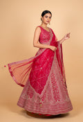 Red Bridal Lehenga Choli for Women with Heavy Embroidery & Net Dupatta – Wedding Designer Lehenga