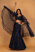 Midnight Navy Sequin Mermaid Lehenga with Dramatic Sheer Cape
