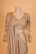 Golden Beige Shimmer Saree with Embellished Full-Sleeve Blouse