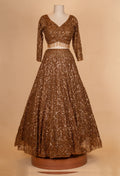 Brown Sequin Embroidered Lehenga Choli with Net Dupatta – Designer Wedding & Party Wear Lehenga for Women