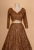 Brown Sequin Embroidered Lehenga Choli with Net Dupatta – Designer Wedding & Party Wear Lehenga for Women