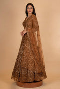 Brown Sequin Embroidered Lehenga Choli with Net Dupatta – Designer Wedding & Party Wear Lehenga for Women