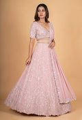 Soft Pink Embroidered Lehenga Choli Set with Dupatta for Women