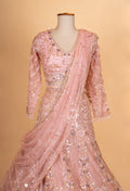 Blush Pink Heavy Embroidered Lehenga Choli Set with Net Dupatta for Women
