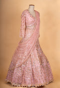 Blush Pink Heavy Embroidered Lehenga Choli Set with Net Dupatta for Women