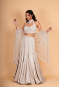 Luxury Champagne Gold Embellished Lehenga Choli with Halter Neck Blouse & Sheer Dupatta