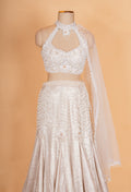 Luxury Champagne Gold Embellished Lehenga Choli with Halter Neck Blouse & Sheer Dupatta