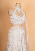 Luxury Champagne Gold Embellished Lehenga Choli with Halter Neck Blouse & Sheer Dupatta
