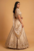 Ivory Gold Embroidered Lehenga Set with Backless Blouse & Sheer Dupatta | Luxury Bridal Wear