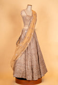 Champagne Gold Embroidered Lehenga Set with Net Dupatta | Designer Wedding & Reception Wear