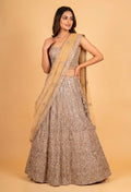 Champagne Gold Embroidered Lehenga Set with Net Dupatta | Designer Wedding & Reception Wear