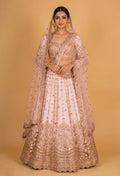 Blush Pink Embroidered Bridal Lehenga Choli with Dupatta – Designer Wedding & Reception Wear
