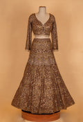 Champagne Gold Heavy Embroidered Bridal Lehenga Set with Sequin Net Dupatta