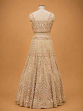 Gold Embroidered Bridal Lehenga with Floral Detailing & Dupatta | Wedding Wear