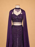 Wine Embroidered Lehenga Set with Blouse & Dupatta | Wedding & Festive Wear