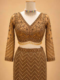 Brown Embellished Lehenga Choli with Sheer Dupatta | Designer Wedding Wear