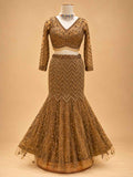 Brown Embellished Lehenga Choli with Sheer Dupatta | Designer Wedding Wear