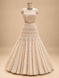 Gold Embellished Bridal Lehenga Choli with Sheer Dupatta | Designer Wedding Wear
