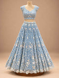 Powder Blue Embroidered Lehenga Set with Dupatta – embroidered outfit detail 1