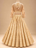 Champagne Gold Embroidered Bridal Lehenga Set with Matching Dupatta for Women – product view 5
