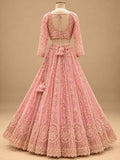 Soft Pink Embroidered Lehenga Set with Dupatta | Women's Wedding Wear