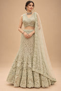 Sage Green lehenga choli for women – product view 1