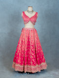 Elegant Pink Embroidered Lehenga Choli with Net Dupatta – Traditional Indian Ethnic Wear