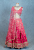 Elegant Pink Embroidered Lehenga Choli with Net Dupatta – Traditional Indian Ethnic Wear