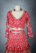 Bridal Red Hand-Embroidered Zardozi Lehenga