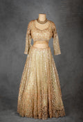 Gold | Embroidered Bridal Lehenga Choli with Zari & Sequin Work | 18