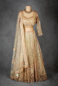 Elegant Gold Embroidered Bridal Lehenga Choli with Net Dupatta
