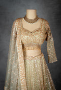 Elegant Gold Embroidered Bridal Lehenga Choli with Net Dupatta