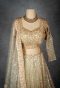 Gold | Embroidered Bridal Lehenga Choli with Zari & Sequin Work | 16